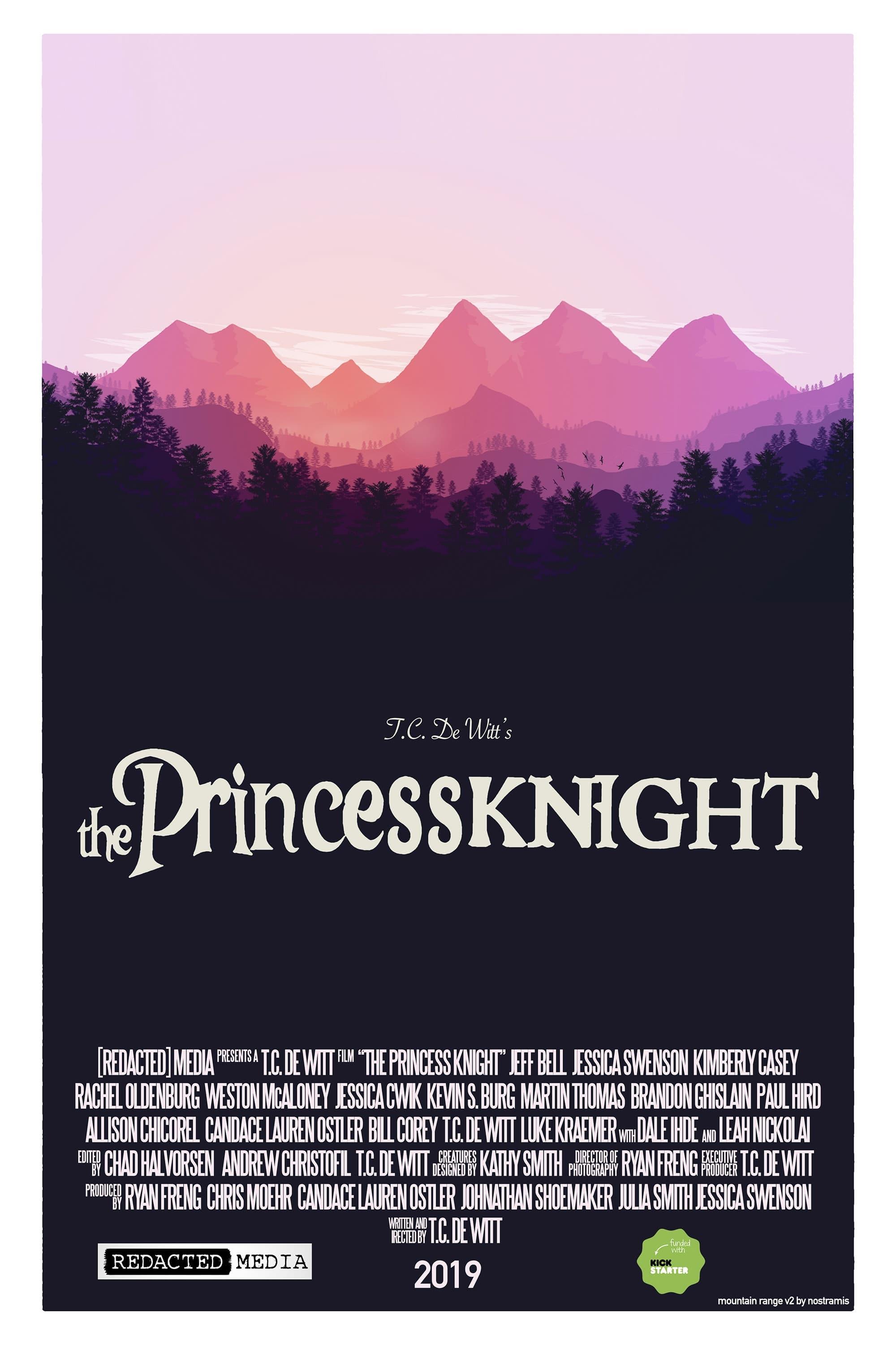 The Princess Knight poster