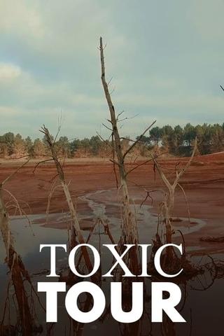 Toxic Tour poster