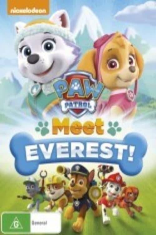 Paw Patrol: Meet Everest poster