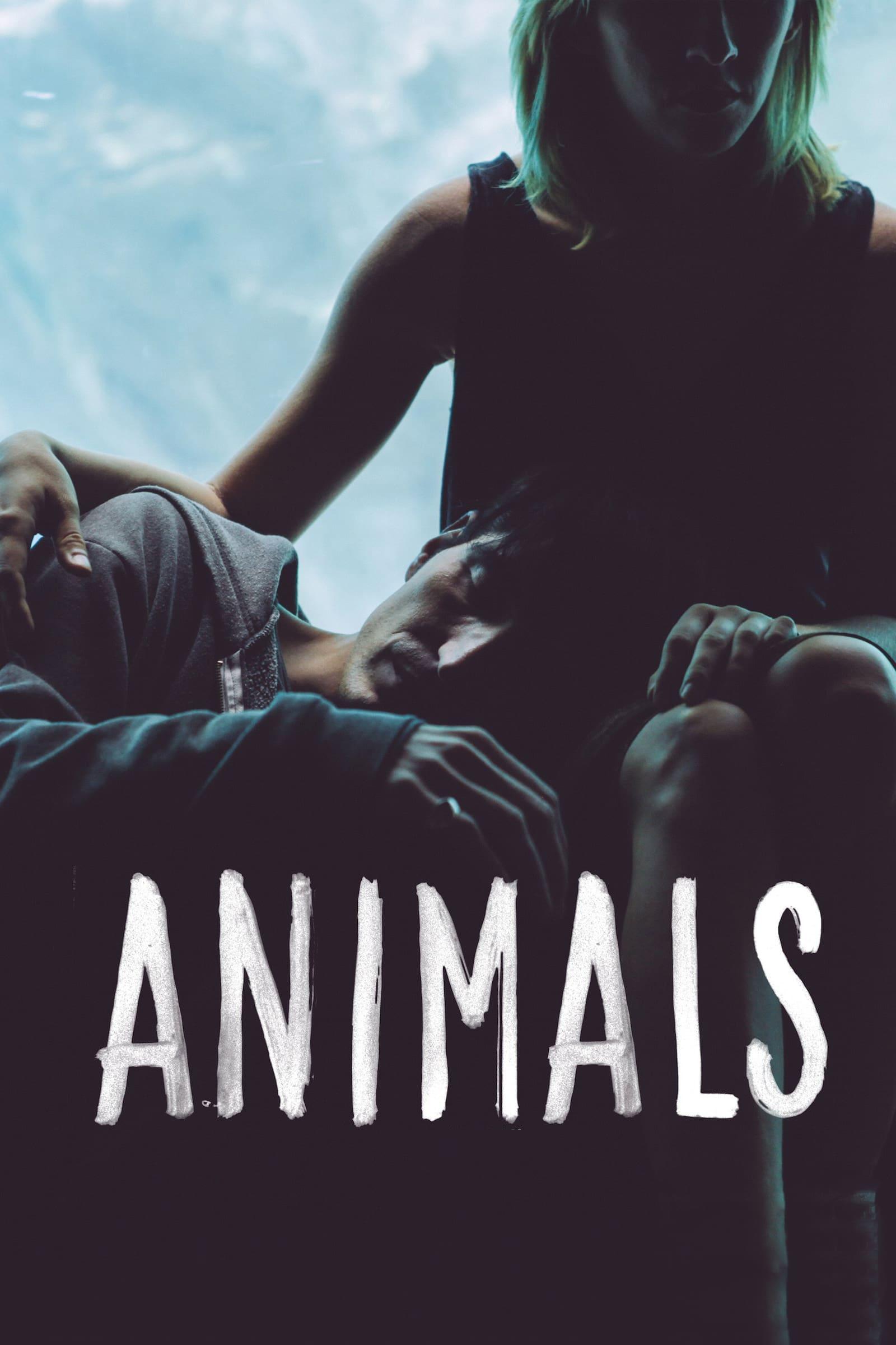 Animals poster