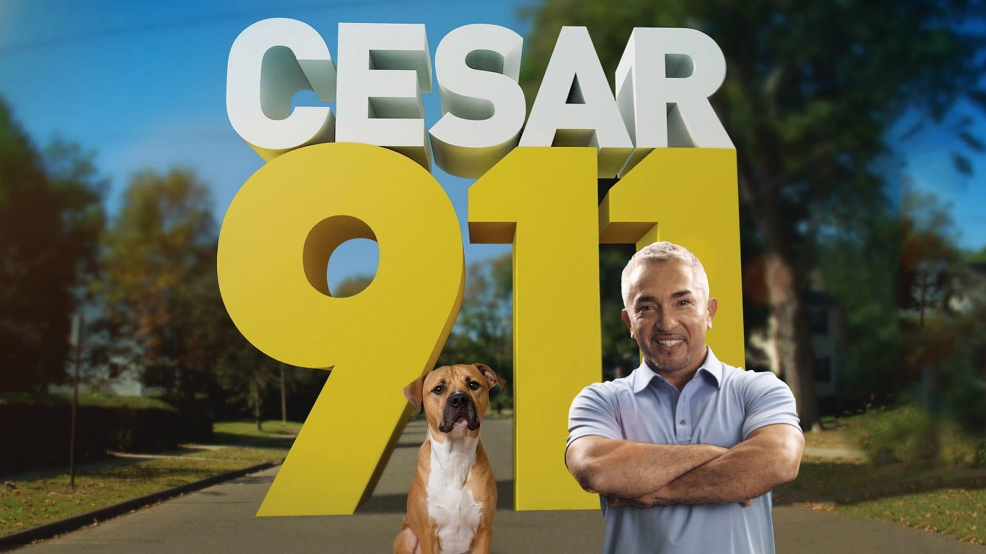 Cesar 911 backdrop