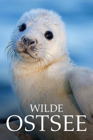 Wilde Ostsee poster