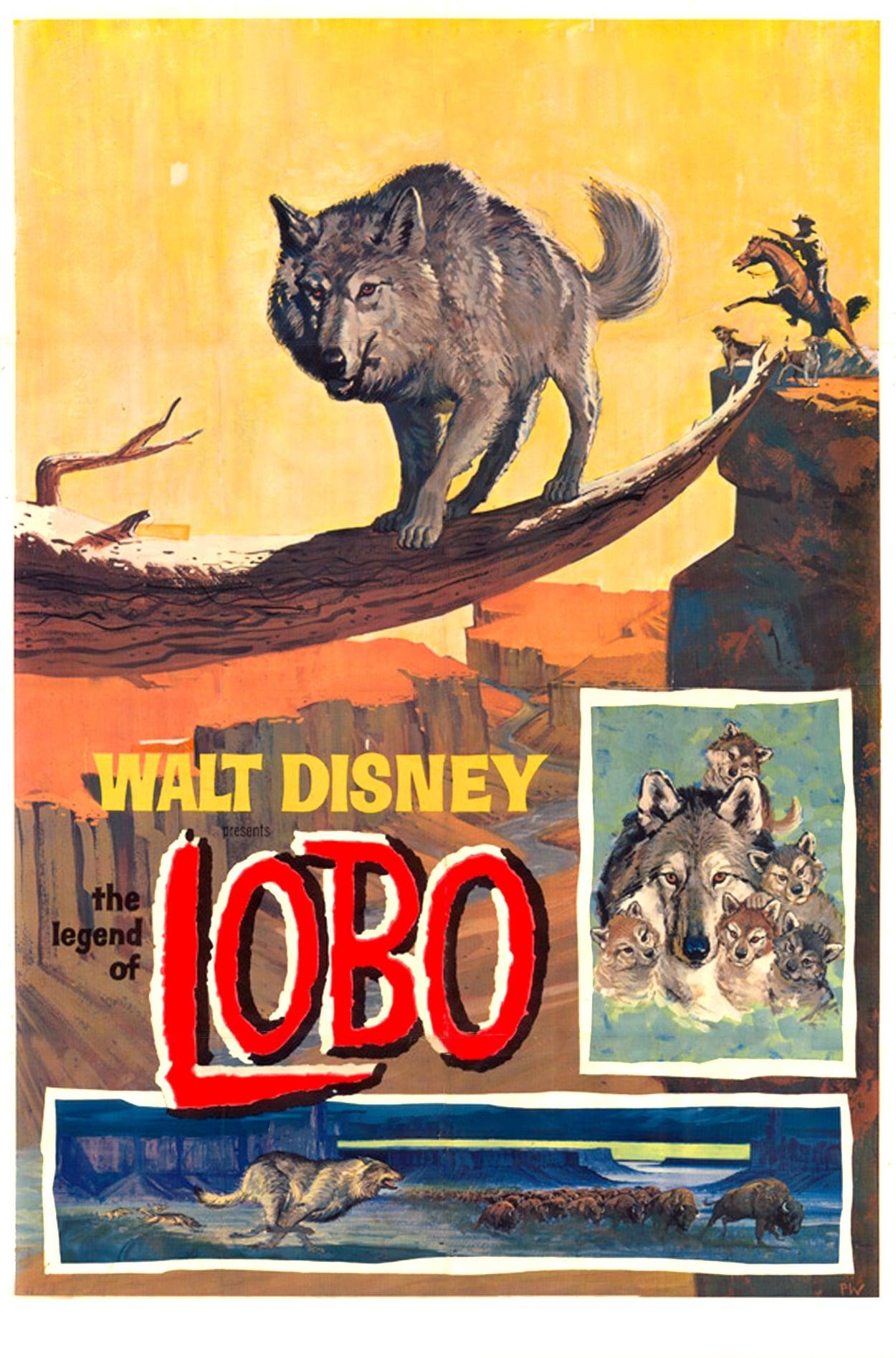 The Legend of Lobo poster