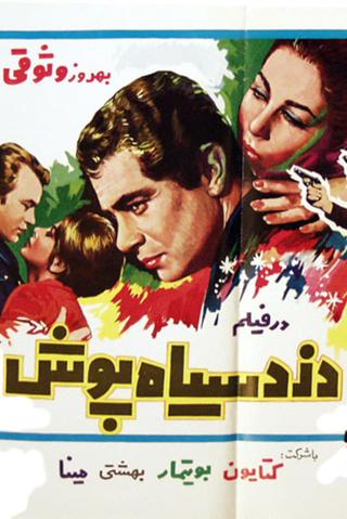 Dozd-e Siyahpoush poster