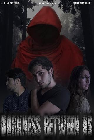 Darkness Between Us poster