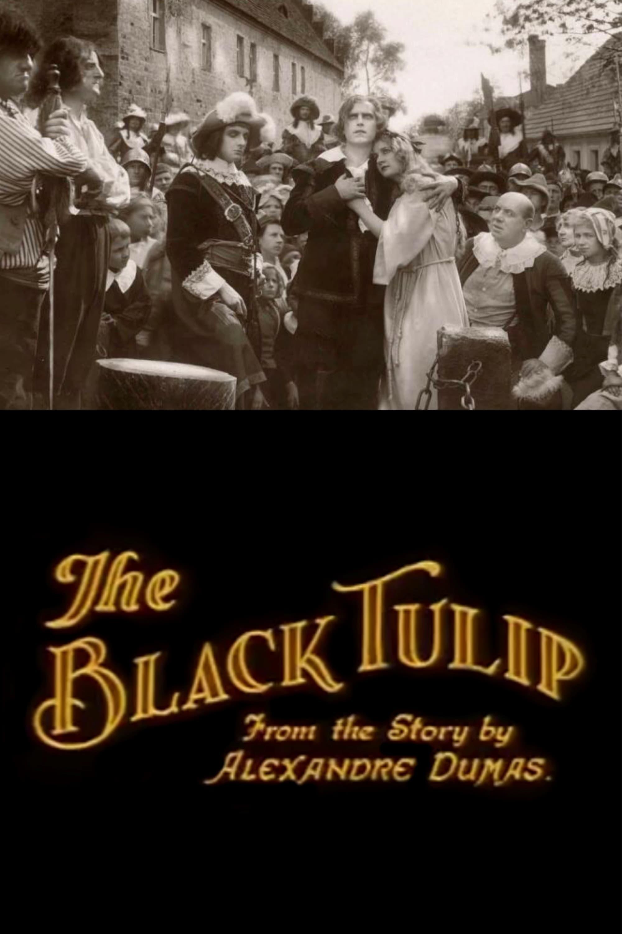 The Black Tulip poster