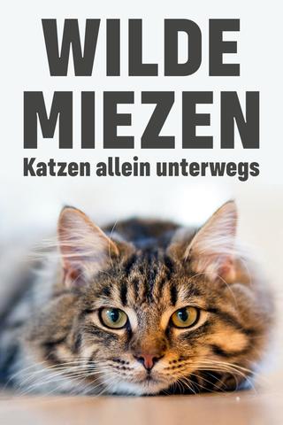 Wilde Miezen - Katzen allein unterwegs poster