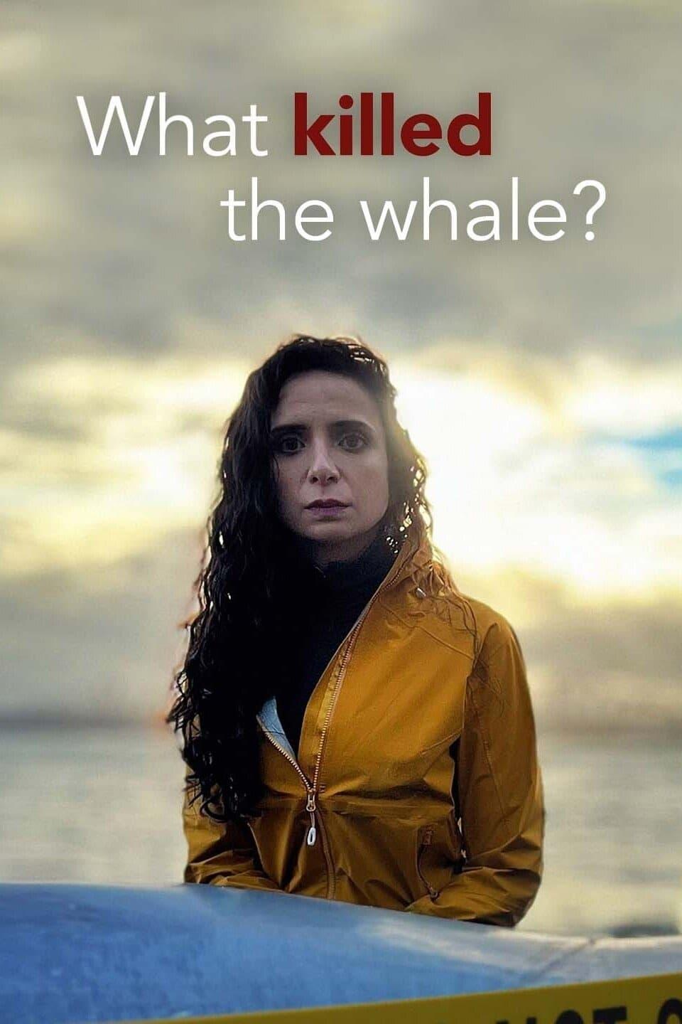 What Killed the Whale? poster