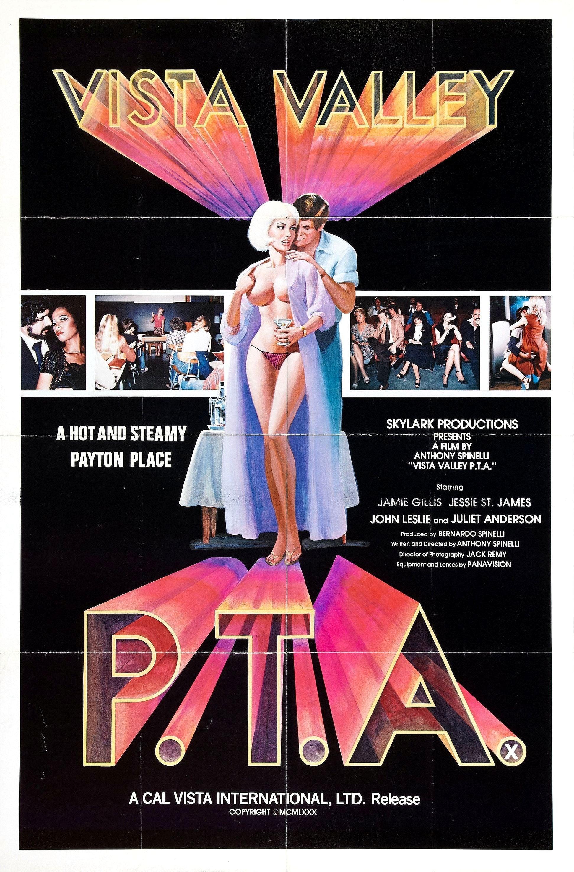 Vista Valley PTA poster