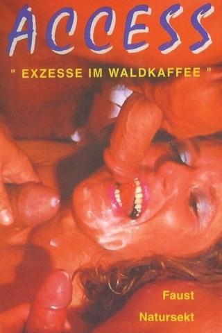 Exzesse im Waldkaffee poster