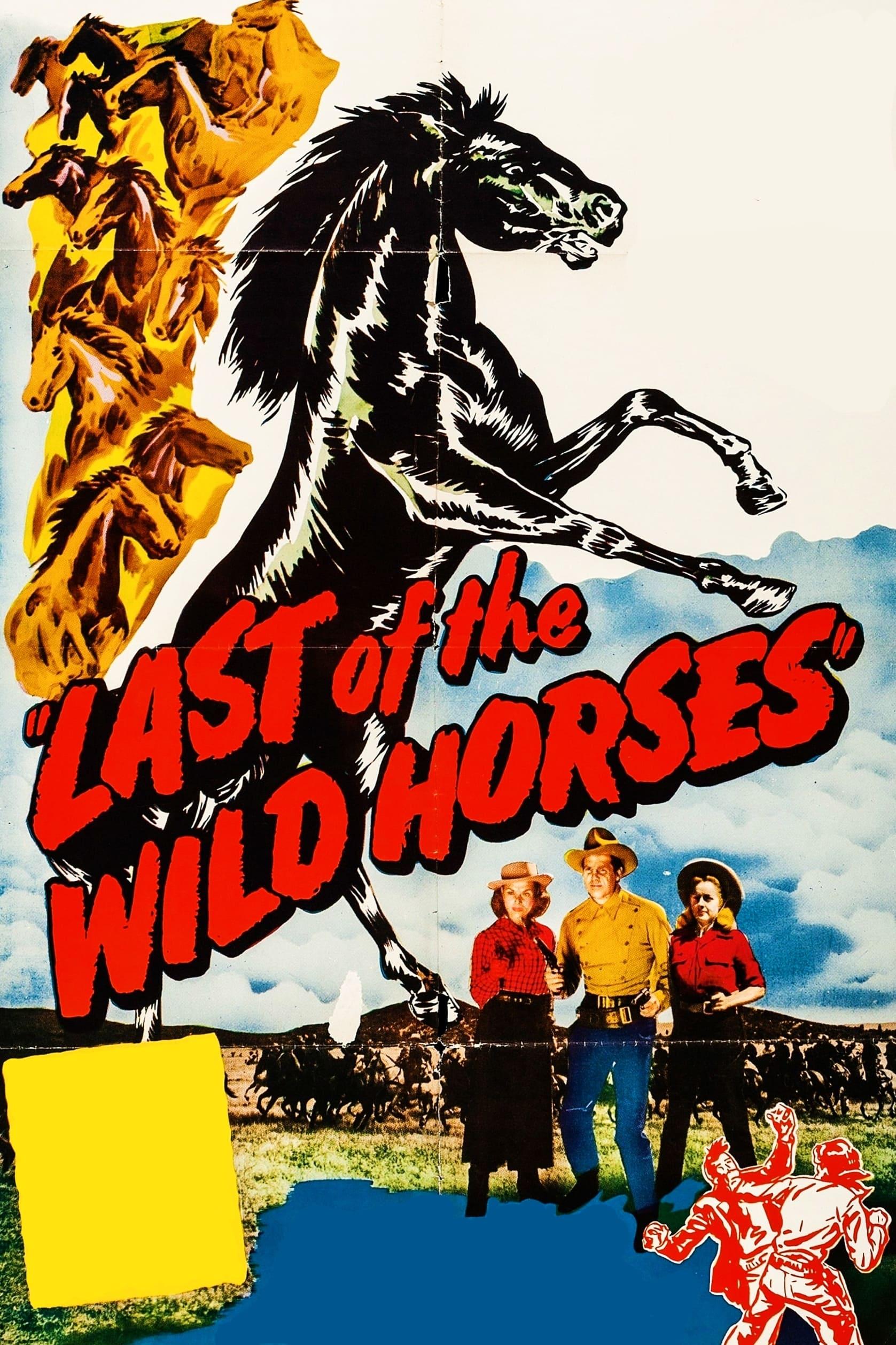 Last of the Wild Horses poster