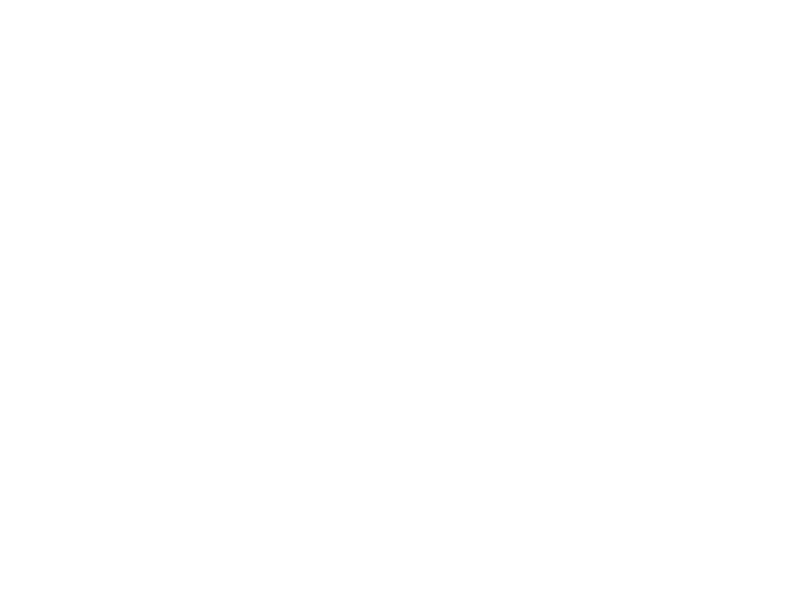 45 Days logo