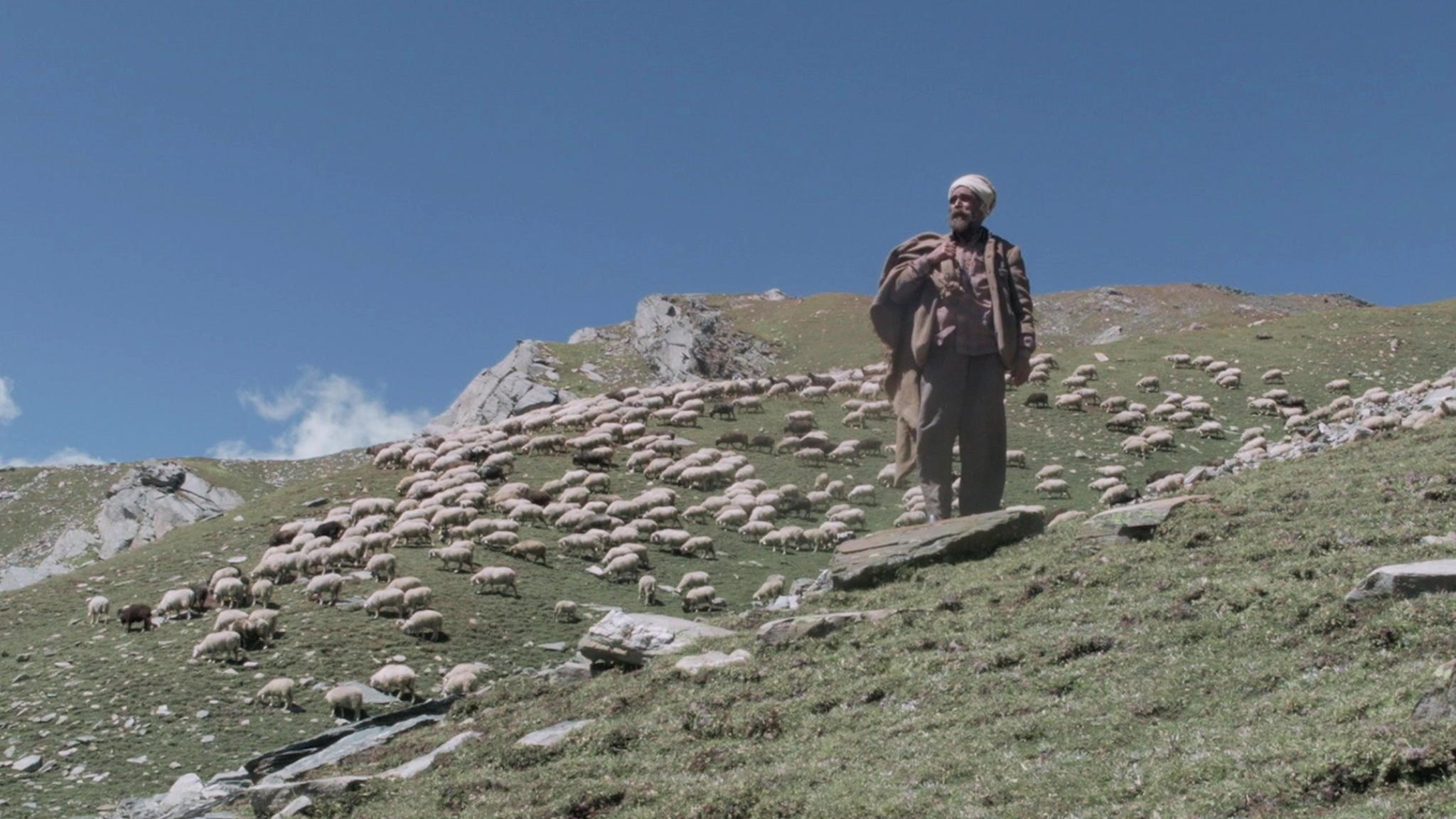 The Gold-Laden Sheep and The Sacred Mountain backdrop