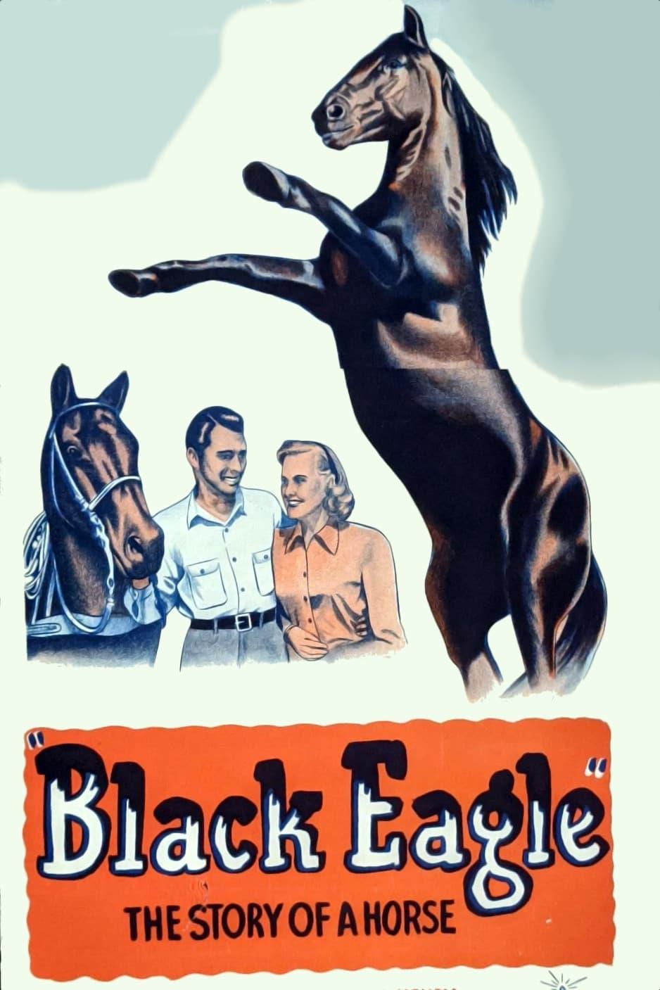 Black Eagle poster