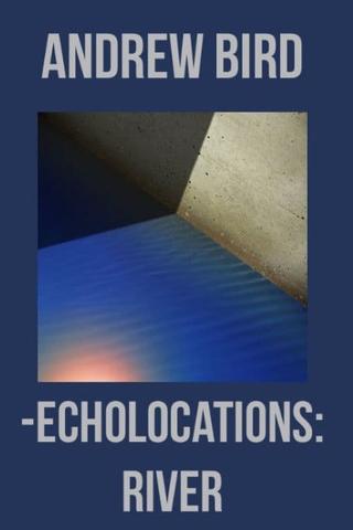 Echolocations: River poster