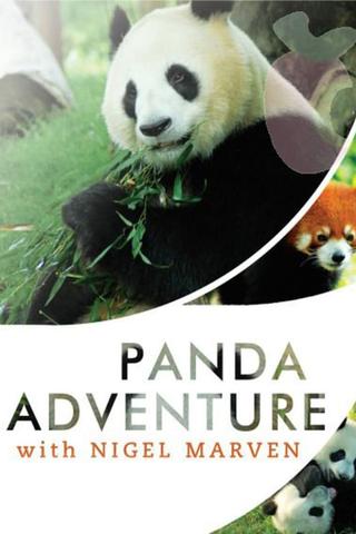 Panda Adventure with Nigel Marven poster