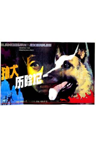 狼犬历险记 poster
