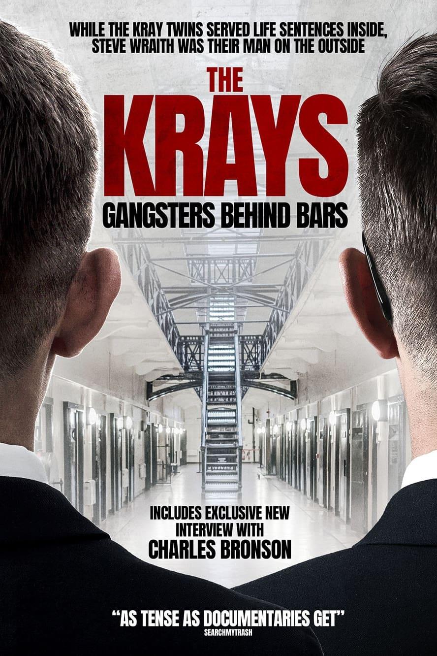 The Krays: Gangsters Behind Bars poster