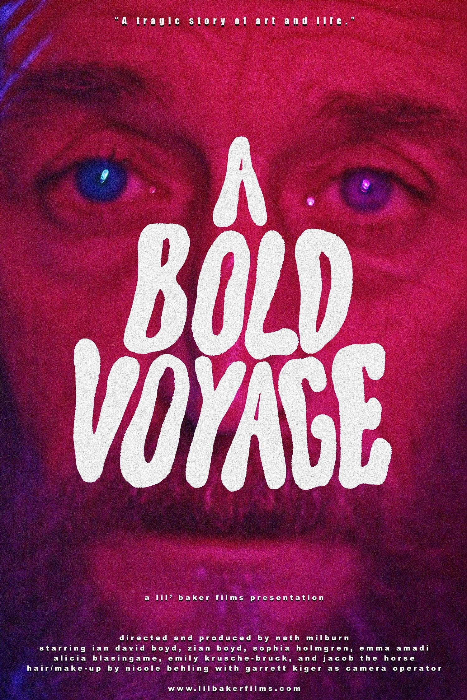 A Bold Voyage poster