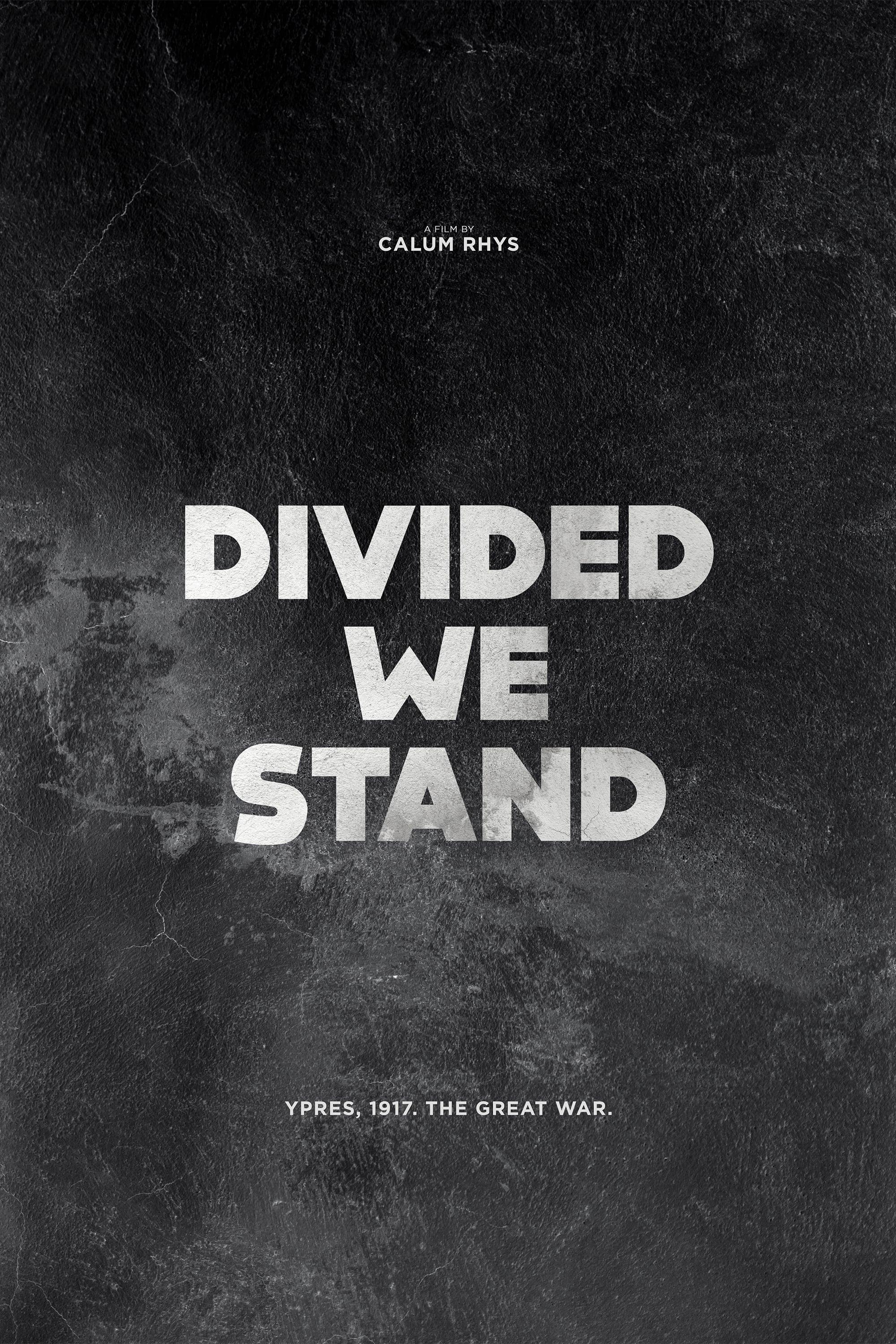 Divided We Stand poster