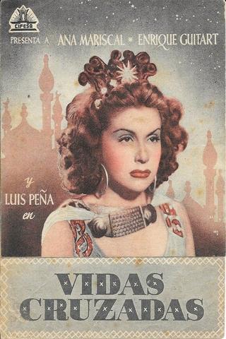 Vidas cruzadas poster