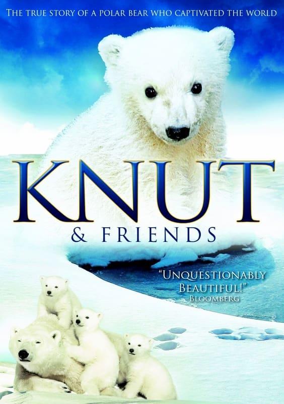 Knut & Friends poster