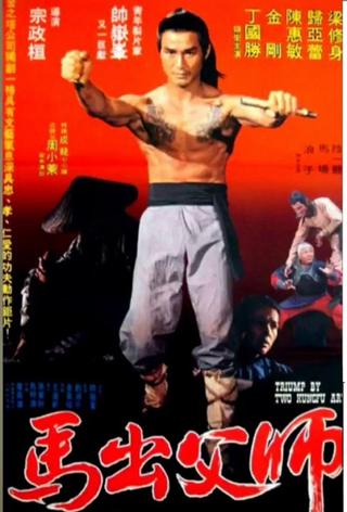 Triumph Of Two Kung-Fu Arts poster