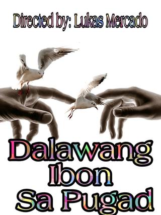 Dalawang Ibon Sa Pugad poster