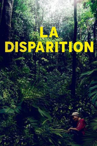 The Disappearance poster