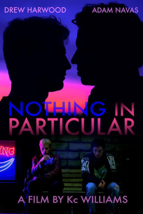 Nothing in Particular poster