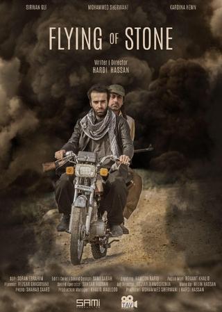 Flying of Stone poster