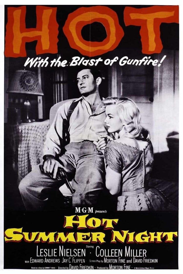 Hot Summer Night poster