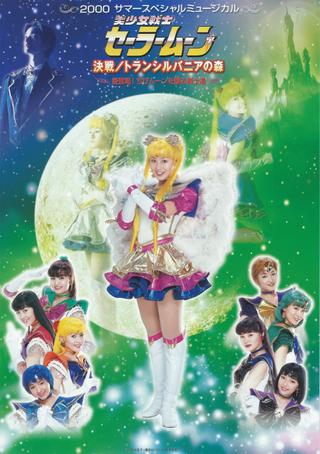 Sailor Moon - Decisive Battle / Transylvania's Forest ~ New Appearance! The Warriors Who Protect Chibi Moon ~ poster