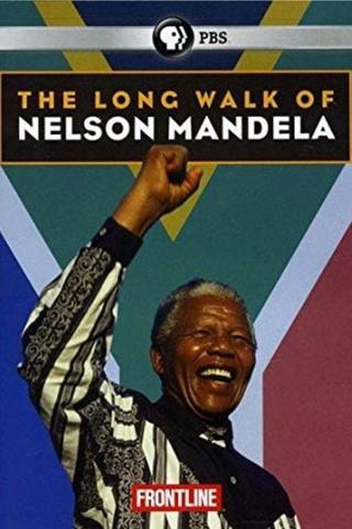 The Long Walk of Nelson Mandela poster