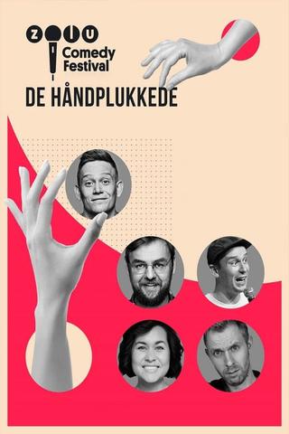 Zulu Comedy Festival: De håndplukkede poster