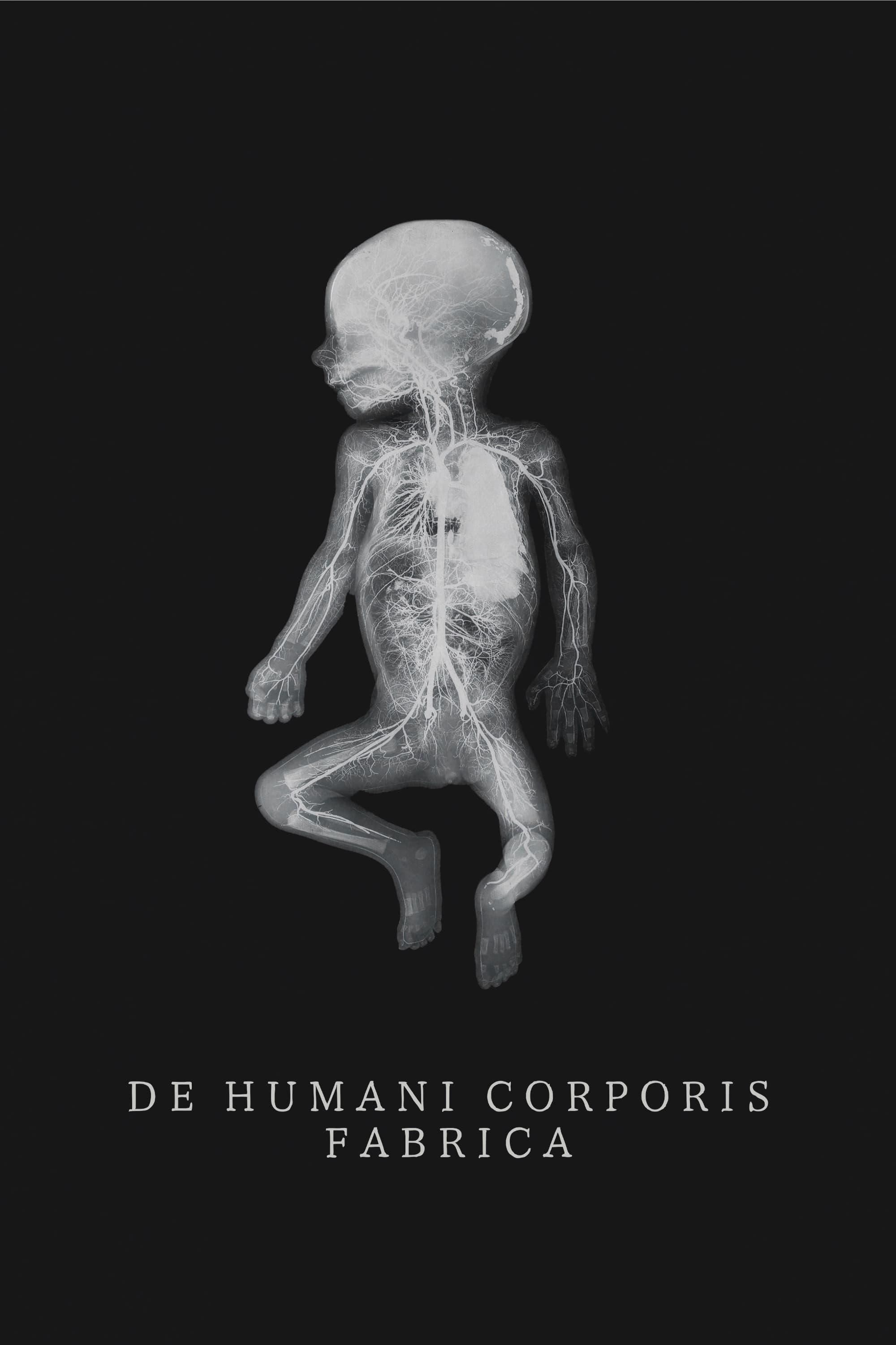 De Humani Corporis Fabrica poster