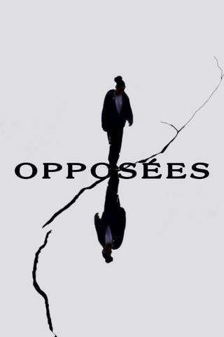 Opposites poster