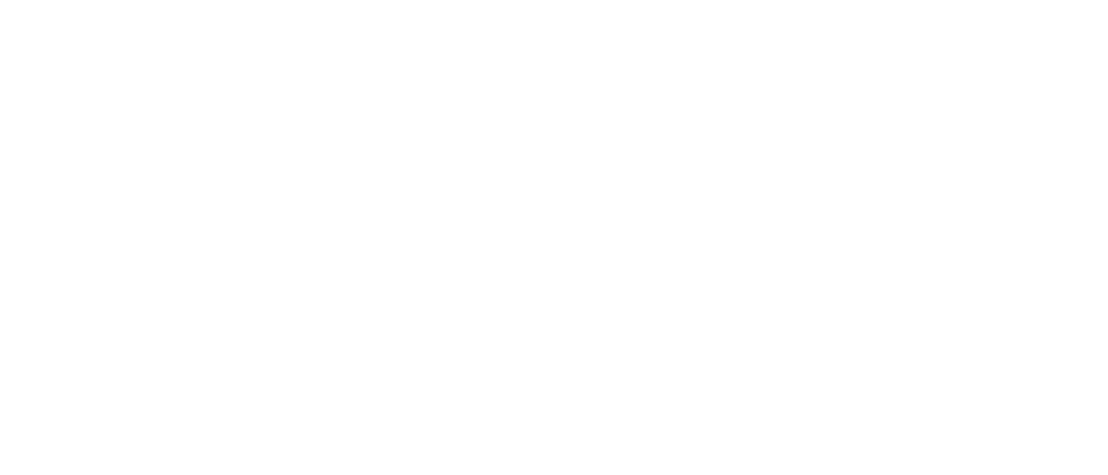 The Magic of the Diary of Anne Frank logo