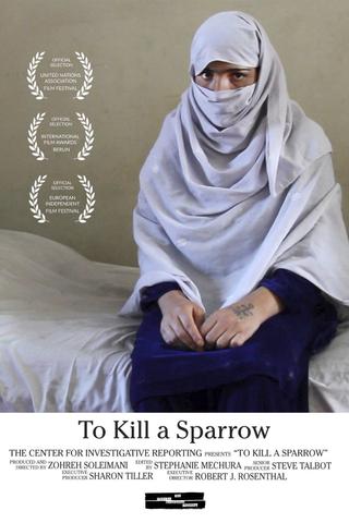 To Kill a Sparrow poster