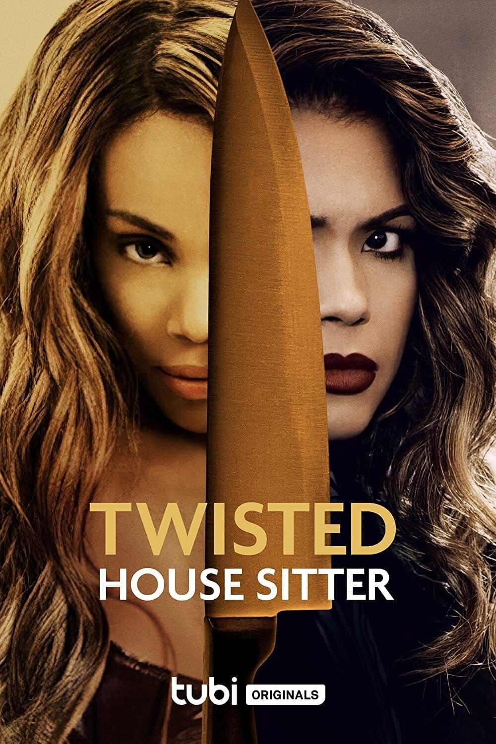 Twisted House Sitter poster