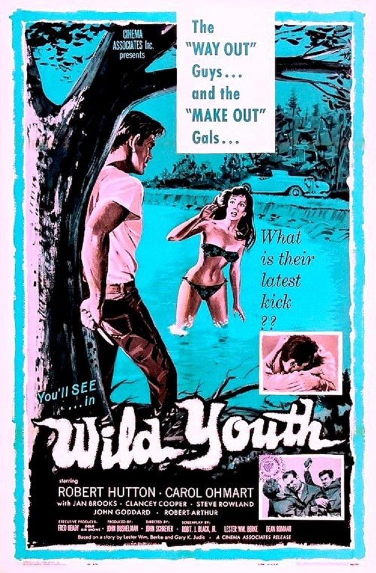 Wild Youth poster