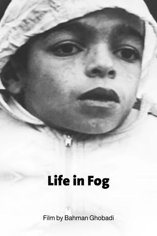 Life in Fog poster