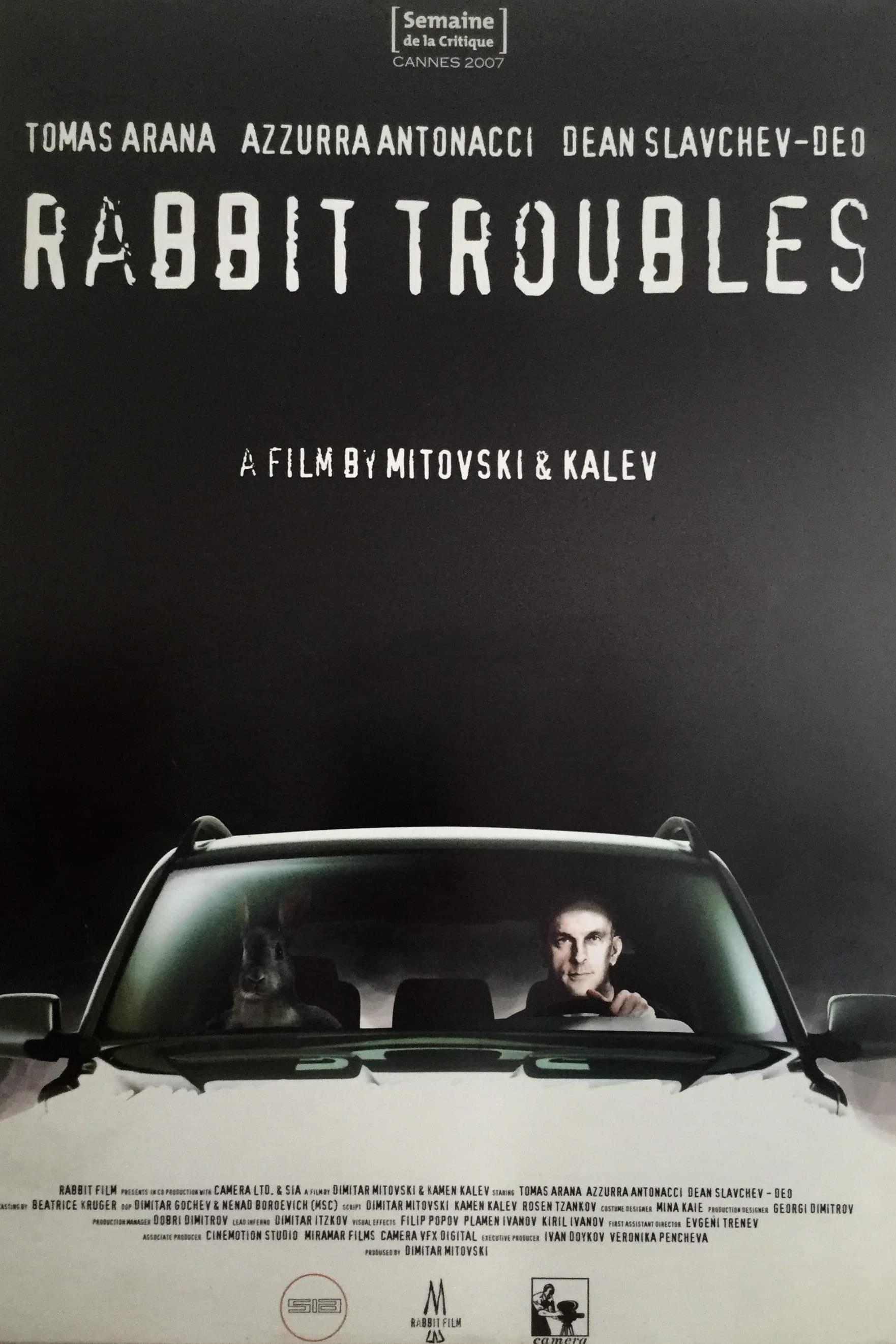 Rabbit Troubles poster