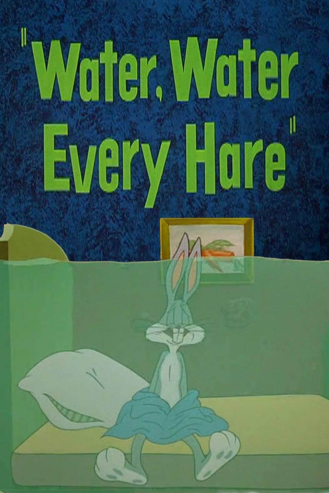 Water, Water Every Hare poster