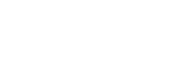 Sophie's Choice logo