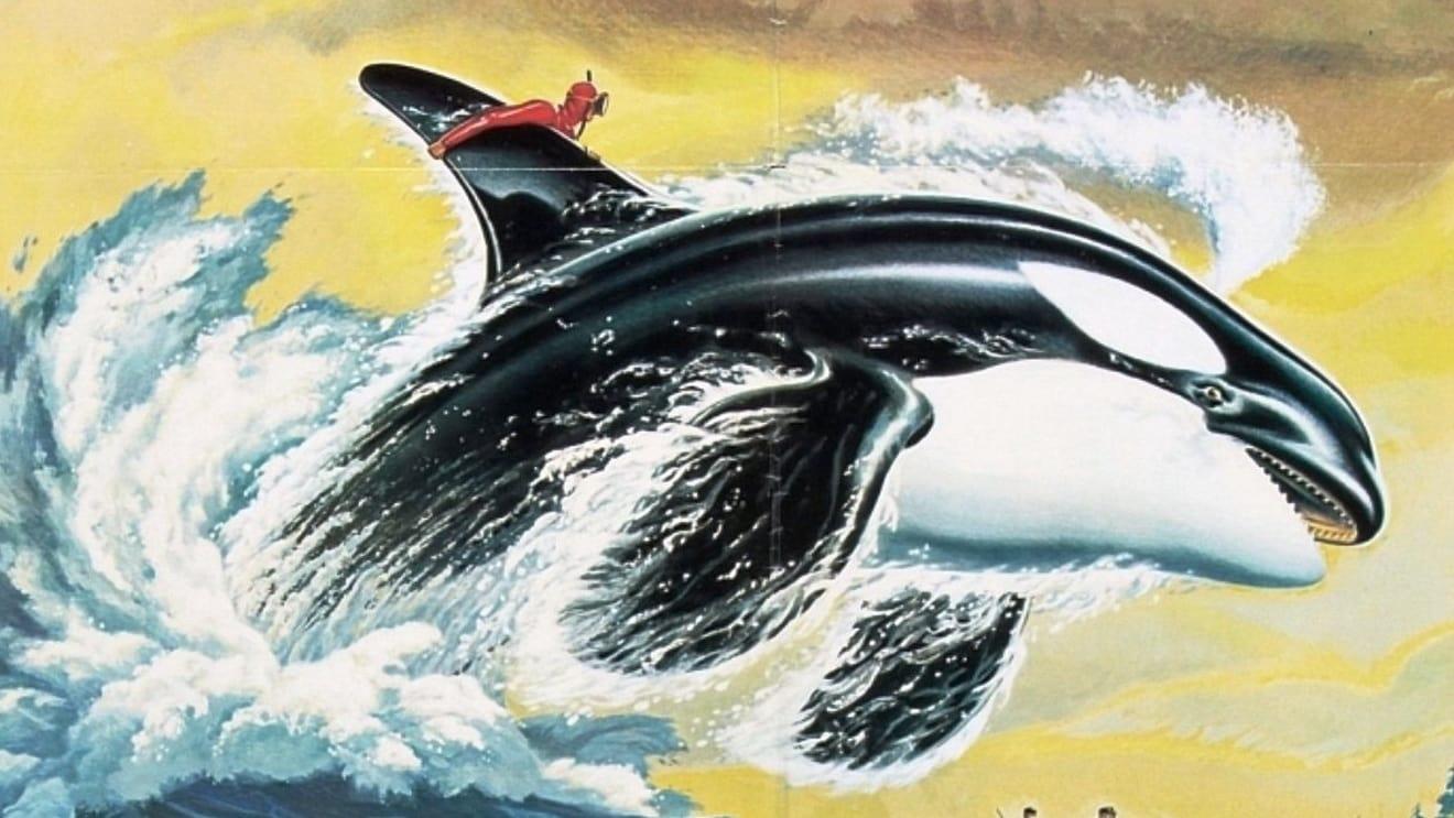 Namu, the Killer Whale backdrop