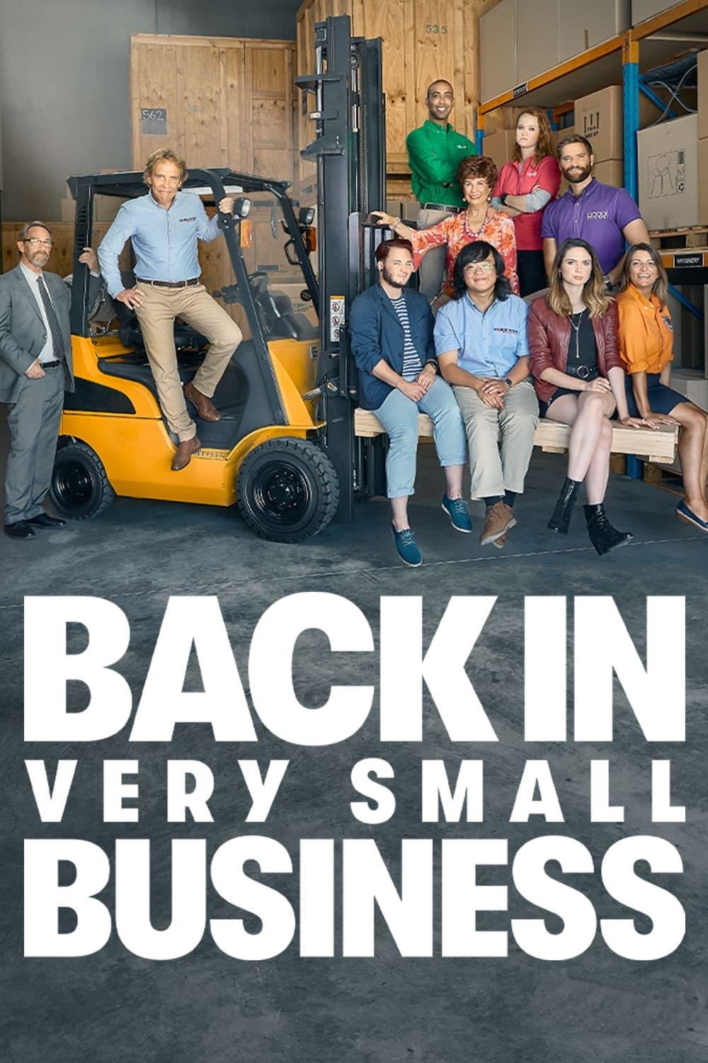 Back in Very Small Business poster