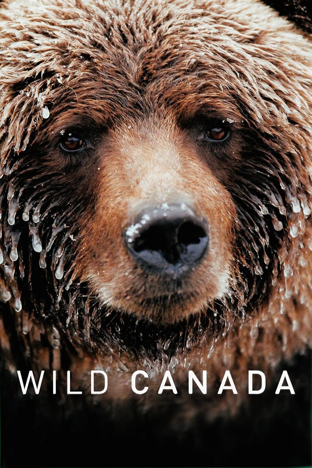 Wild Canada poster