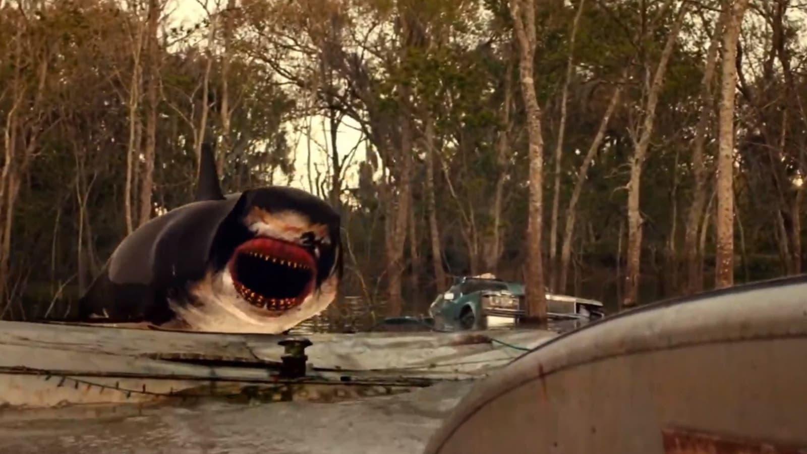 Trailer Park Shark backdrop