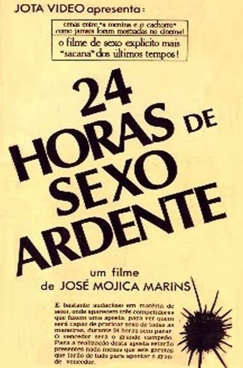 24 horas de Sexo Explícito poster